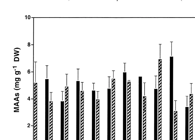 Fig. 5. Concentrations of mycosporine-like amino acids (MAAs) in Bangia atropurpureaNovember 1995 to 6 May 1996