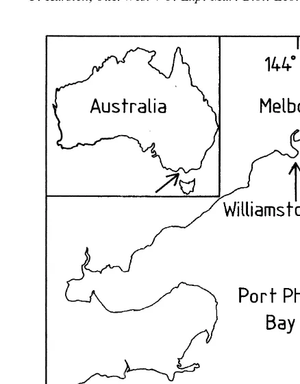 Fig. 1. Map showing location of Williamstown, Port Phillip Bay, Victoria. Inset with arrow shows location inAustralia.