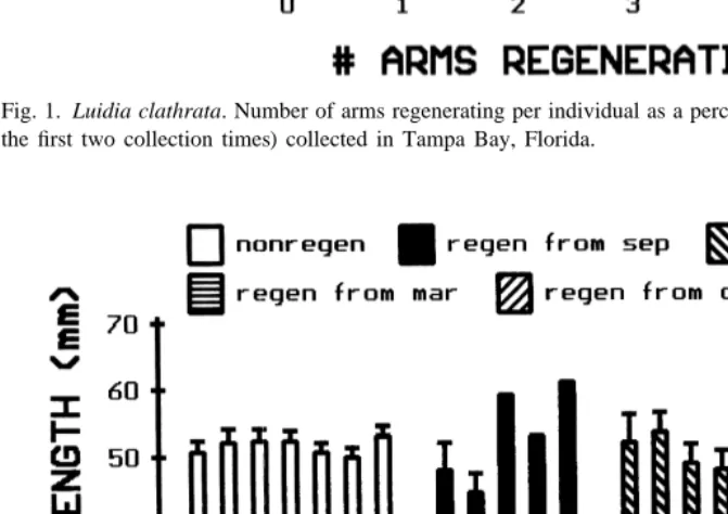 Fig. 1. Luidia clathrata. Number of arms regenerating per individual as a percent of the population (based onthe ﬁrst two collection times) collected in Tampa Bay, Florida.