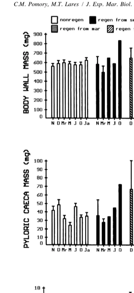 Fig. 3. Luidia clathrata. Dry mass of the body wall (A), pyloric caeca (B) and gonad (C) of one whole armremoved at the disk edge at various collection times for non-regenerating (nonregen) individuals andregenerating (regen) cohorts started in September (