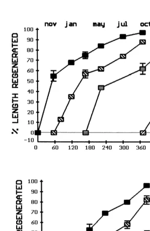 Fig. 4. Luidia clathrata. Percent regeneration relative to a whole arm by length (A) and dry mass (B) overtime from the start of the experiment for cohorts started in September (sep) 1996, November (nov) 1996,March (mar) 1997 and October (oct) 1997.