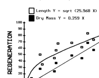Fig. 5. Luidia clathrata. Percent regeneration relative to a whole arm by length and dry mass over time frominitial arm loss for all cohorts combined.