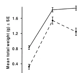 Fig. 1. Estimated means (adjusted for age) of total body weight and dorsal mantle length of juvenileSepioteuthis lessoniana reared at three different feeding levels (see Table 2b)