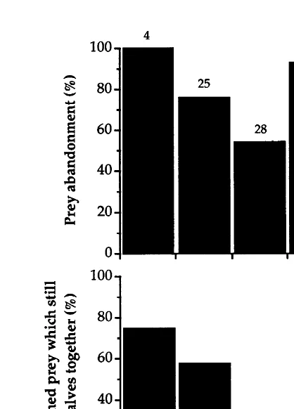 Fig. 2. Frequency of prey abandonment by the asteroid Leptasterias polaristogether at the end of the 3-h experiment (below), in relation to proportion of tissue mass of the prey (thebivalvepredatory asteroid when confronted with the Asterias vulgaris (abov