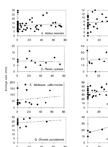 Fig. 4. Relationships between species size and M. pyrifera raft age. The maximum size for Lepas spp