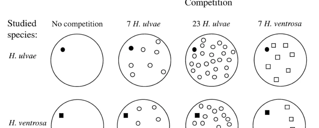 Fig. 1. Sketch of the competition treatments. In ﬁve of them, the studied species was Hthe target individual (ﬁlled symbol) was estimated under the densities given in the ﬁgure (