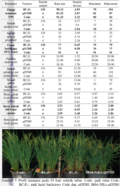 Tabel 4 Tabulasi hasil pengamatan karakter agronomis padi BC1F1 Code-qDTH8  