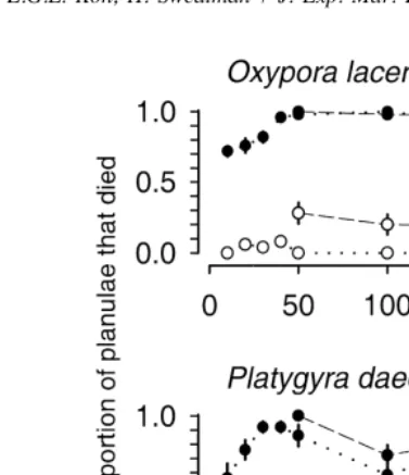 Fig. 3. Toxic effects of Tubastraea faulkneri extract on planulae of Oxypora lacera and Platygyra daedalea.The bioassays were initially conducted at three extract concentrations and repeated at a later date at sevenextract concentrations (see Materials and