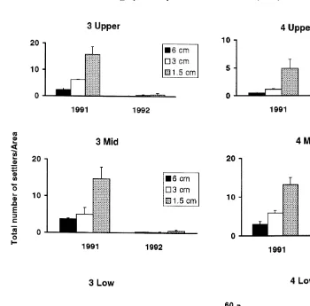 Fig. 2. Mean total annual numbers of settlers/area of patch (ndifferent scale on3 and 4 on Low, Mid and Upper heights of 5 3) of different size (6, 3 and 1.5 cm) at Sites Chamaesipho’s distribution in December, 1991 and 1992
