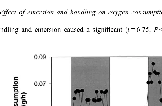 Fig. 3. Oxygen consumption (mg O /g/h) of an undisturbed 728 g southern rock lobster (Jasus edwardsiiover a 48-h period