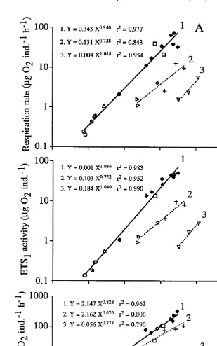 Fig. 8. Macrozooplankton from Kosterfjorden, Sweden. (A) Respiration rate versus individual wet weight