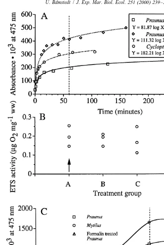 Fig. 2. (A) Biological reduction of INT over time in three different homogenates, showing a logarithmicallydeclining increase in absorbance (formazan production)