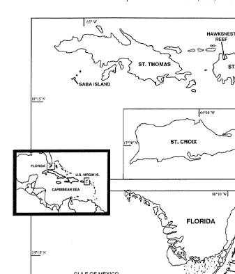 Fig. 1. Map of the study sites in Florida and the US Virgin Islands. The insert shows the general location ofthe study areas in the Caribbean region.