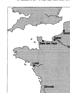 Fig. 1. Location of the sampling stations (open squares 5Dortsman, the Netherlands, translocated to France within their area of distribution (1991); ﬁlled circlesin experiment with clams from Paulina, the Netherlands, translocated to France South of their distribution limit used in preliminary experiment with clams from 5 usedand to Grevelingen).