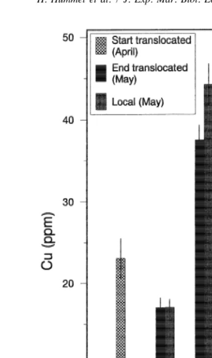 Fig. 3. The copper concentration (mpreliminary experiments at the beginning of, and 1 month after, translocation in comparison to the endemicg/g DW; average and standard error, N 5 10) of translocated clams in the(local) specimens (dates and abbreviations 