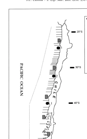 Fig. 1. Schematic representation (not at scale) of MPAs and TURFs areas for the coast of Chile