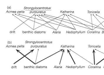 Fig. 3. Three perspectives on a simple rocky shore food web comprising interactions between marine algaeand their invertebrate consumers