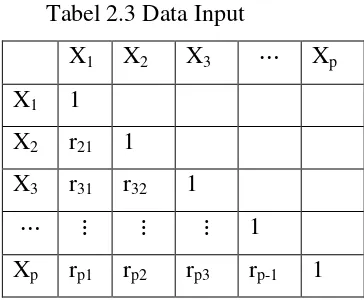 Tabel 2.3 Data Input 