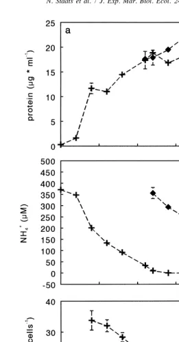 Fig. 2. Protein concentration (a), NH1concentration (b) and protein content of the cells (c) in batch cultures of4C