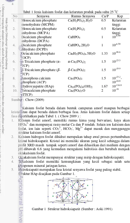 Tabel  1  Jenis kalsium fosfat dan kelarutan produk pada suhu 25 oC 