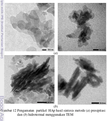Gambar 12 Pengamatan  partikel  HAp hasil sintesis metode (a) presipitasi  