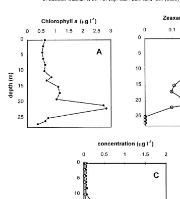 Fig. 2. Vertical variation of pigment concentration in Bahia Concepcion, Gulf of California: (A) chlorophyll a;(B) zeaxanthin; (C) fucoxanthin and peridinin.