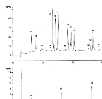 Fig. 3. Typical chromatogram (440 nm) from highly pigmented (A) and normal samples (B)