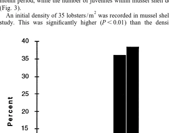 Fig. 2. Size-frequency distribution of surviving lobsters found on all substrata after a 1 month period