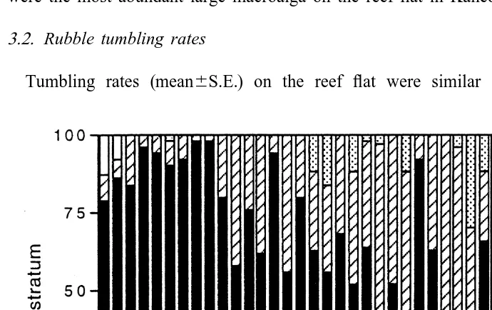 Fig. 1. Distribution of major substratum types on Kaneohe Bay reef ﬂat (June 1994, 25 points in every 3 malong a 100-m transect on rubble ﬁeld, 0 m 5 shoreward end of transect).