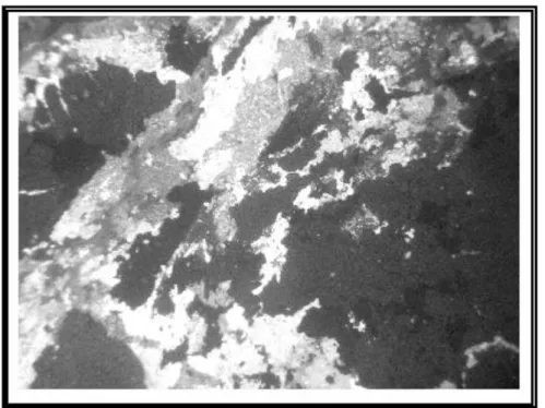 Gambar 6. Fotomikrograf urat kuarsa tipe alterasi silifikasi, tampak kuarsa sekunder,                  Serisit, mineral lempung serta pirit dan beberapa jenis mineral logam                     lainnya (sampel LP-3) 