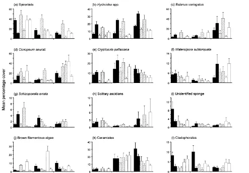 Fig. 2. Covers ( 1 S.E.) of taxa on sandstone (shaded), concrete (hatched) and wood (blank) settlement panels positioned vertically (ﬁrst bar) and horizontally (secondbar) at three sites