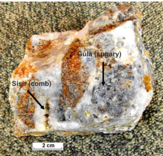 Gambar 6. Stockwork urat kuarsa bertekstur gula mengandung  sulfida  pada  batuan  terubah  illit-argilik-limonitik  (urat  berwarna gelap karena kerapatan yang tinggi dari butiran  halus kristal kuarsa)