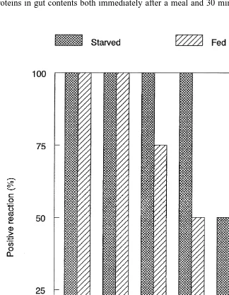Fig. 1. Proportion of positive reactions of groups of starved or continuously-fed grass shrimp gut contentsfollowing an A