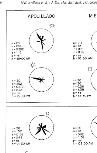 Fig. 3. Testing orientation of P. maculata in arenas on the shore of Apolillado and Mehuın with respect to the´position of the sun (upper box) and moon (lower box)