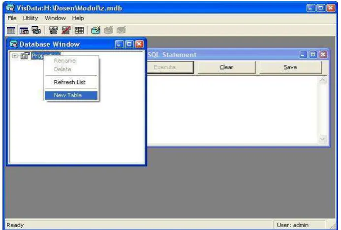 Gambar 2. Menambahkan Tabel Baru Pada Visual Data Manager 