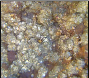 Gambar 5. Kenampakan tuff yang teralterasi argilik dan terdapat mineralisasi pirit 