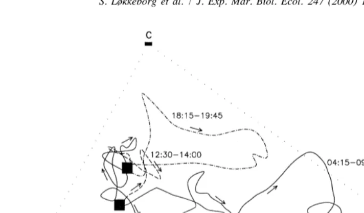 Fig. 4. Movement of one ling throughout an entire day (from midnight to midnight). Arrows indicate directionof movement
