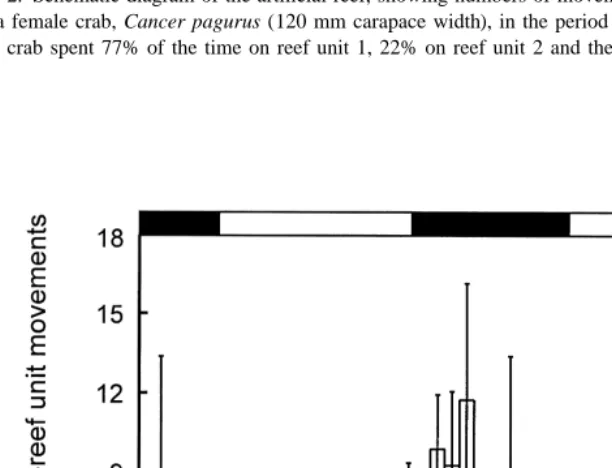 Fig. 2. Schematic diagram of the artiﬁcial reef, showing numbers of movements between numbered reef unitsby a female crab, Cancer pagurus (120 mm carapace width), in the period 15 August to 28 September 1997.The crab spent 77% of the time on reef unit 1, 22% on reef unit 2 and the remainder on units 3, 6, 7 and 8.