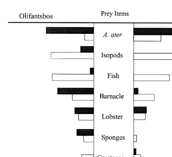 Fig. 2. Percentage occurrence of prey items in the gut contents of trap- (clear bars) and diver-caught (solidbars) rock lobsters at Olifantsbos and the Knol.