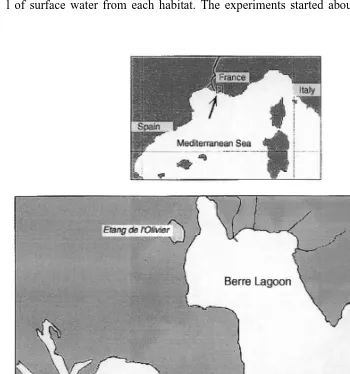 Fig. 1. Map of the investigated region and location of the two sampling stations (black dots)