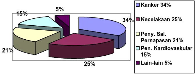 Gambar 1. Diagram Pie Penyebab Kematian yang Berhubungan dengan Pekerjaan (ILO, 1999) 