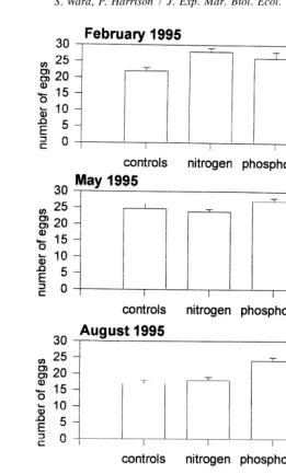 Fig. 5. The mean number of eggs present in polyps of Acropora longicyathusexperimental microatolls at One Tree Reef from February 1995 to November 1995