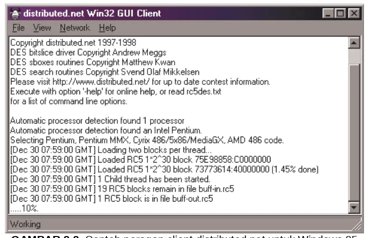 GAMBAR 2.2. Contoh peragan client distributed.net untuk Windows 95