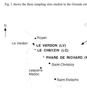Fig. 1. Three sampling sites (*) along the Gironde estuary, France.