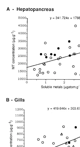 Fig. 3. Relationship between MT and soluble metal (Cd1Cu1Zn) concentrations in hepatopancreas or gillsof C