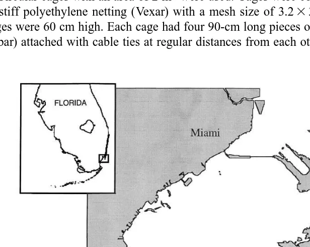 Fig. 1. Map of north Biscayne Bay, Florida showing the West Point ﬁeld site.