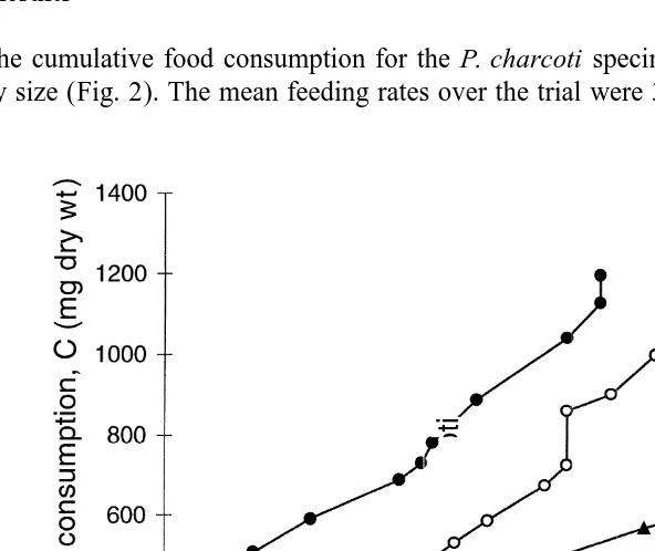 Fig. 2. Cumulative food consumption C (mg dry wt) for Pareledone charcoti feeding on Mytilus edulis overthe 50 days when measurements were taken.