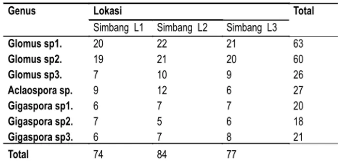 Tabel 2.   Populasi spora (per 100 g tanah) setiap  genus fungi VMA pada rizosfer tanaman  Jagung di kecamatan Simbang
