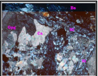 Gambar 4.2. Kontak Basalt (Bs) dengan batugamping (Gpg), mengakibatkan  mineral Silika (Si) dan Klorit (Kl) masuk ke dalam rekahan batugamping dan  menggantikan sebagian Kalsit (Ca)