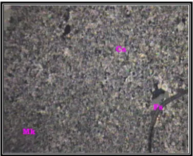 Gambar 4.3.  Tekstur klastik  mineral Kalsit (Ca) dan Fosil (Fs) sebagai fragmen  dan diikat oleh Mikrit (Mk) pada batugamping yang tidak terpengaruh oelh intrusi